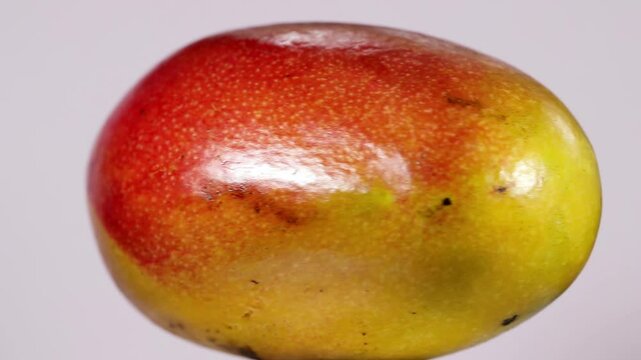 Close up of ripe mango rotating.
