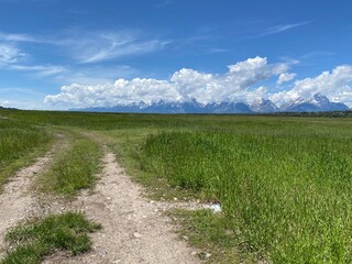 Road to the Mountains 