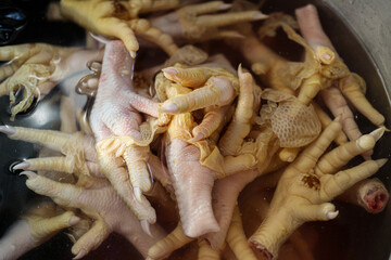 A detailed image showcasing a close-up view of numerous chicken feet submerged in water, likely as part of a culinary preparation process. Close-up Shot of Chicken Feet Soaking in Water.