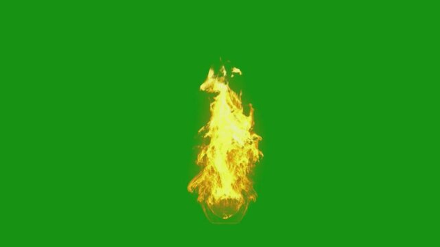 fire - bonfire green screen animated