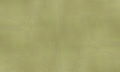 soft    green color    paint  abstract texture   background