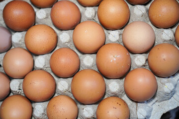 Close-up view of a dozen fresh brown eggs neatly arranged in a cardboard egg carton. A Dozen Brown Eggs in a Carton