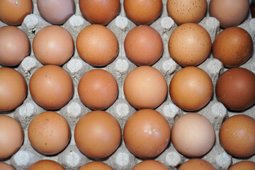 Close-up view of a carton filled with a dozen fresh brown eggs. A Dozen Brown Eggs in a Carton.
