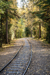A train track with leaves on the ground