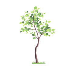Obraz premium A sapling with fresh green leaves, growth symbol, flat minimalist design, clean vector art, isolated on white background.