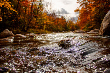 river in autumn