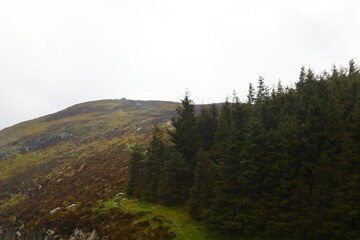 Landscape hill of Bog and peat. Wicklow National Park in Ireland

