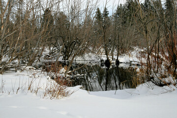 Winter pond and snow