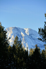 Mountain top thru trees
