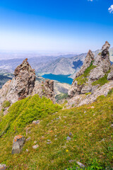 The flower on the foreground of the Heaven Lake of Tian Shan, a World Heritage site in Xinjiang