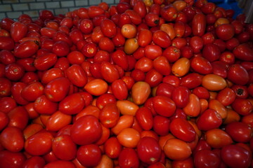 Tomate Sacolão Frutas