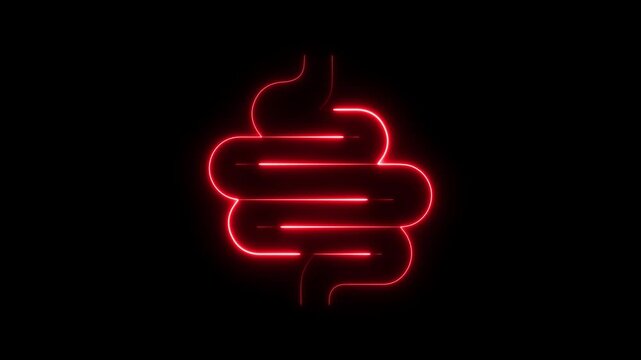 Human Intestine Anatomy animation. Closeup view of woman. Intestinal And Bad Bacteria motion.