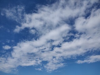 Fototapeta premium 東京のそら(24.11.29)