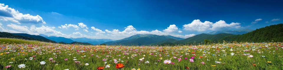 Obraz premium Photo of A field of flowers in full bloom amidst the mountains with a blue sky and floating clouds there