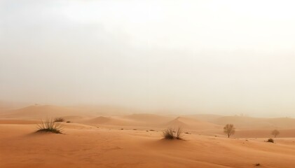 Foggy Nature Scenes, Misty Forests, Mountains, Lakes, and Serene Landscapes