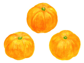 水彩で描いたみかんのイラスト素材
