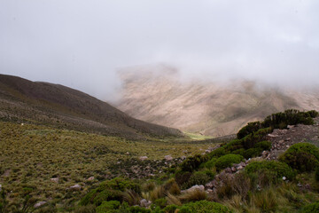 vegetación y nubes al pie del cerro