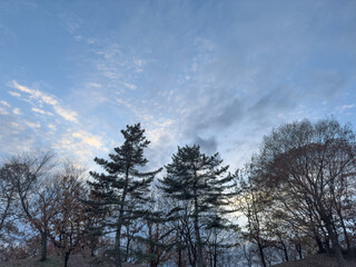 日本周遊　那須ちふり湖落ち葉の頃