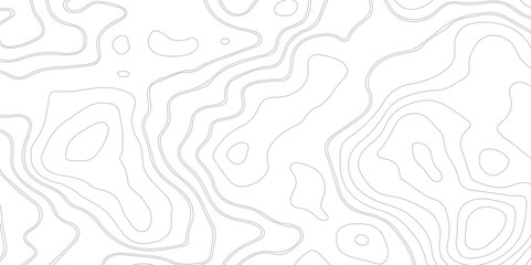 abstract wavy background. topographic contour background. White luxury topographic lines map background