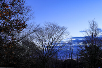 日本周遊　那須ちふり湖落ち葉の頃