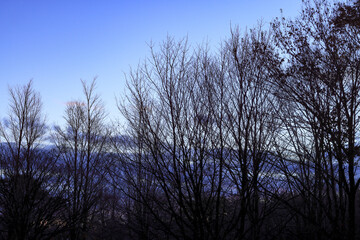 日本周遊　那須ちふり湖落ち葉の頃