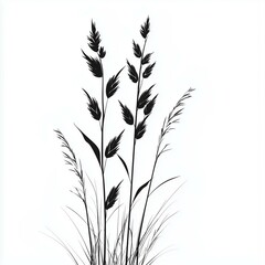 Naklejka premium hyper realistic vector plant silhouette - grass, plant, silhouette, nature, grow, black, green, leaves, flora, outdoor, summer, field, wild