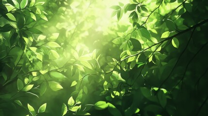 Obraz premium Sunlight streaming through green leaves nature scene close-up photography forest environment natural beauty concept