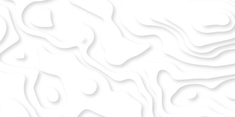 Abstract wavy line 3d paper cut white background. Topographic canyon geometric map relief texture with curved layers and shadow.