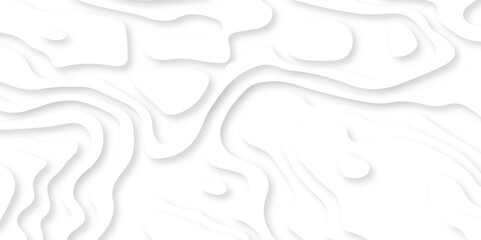 Abstract wavy line 3d paper cut white background. minimal topography map light element shadow landscape