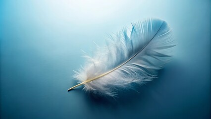 Obraz premium Single Delicate White Feather on a Smooth Teal Background