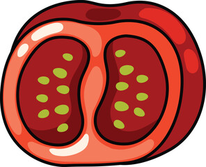 illustration of colorful tomato outline white on background vector