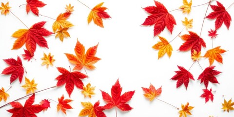 Watercolor frame of autumn maple leaves on white background, soft light, nature, watercolor