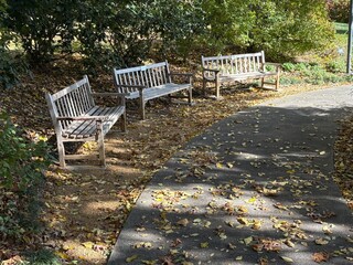 Benches along a path