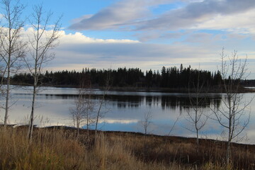 reflection of trees in water