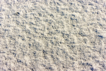 Winter snow texture background during the day