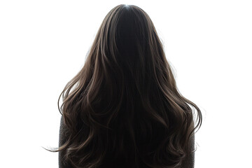 Obraz premium Isolated background features a woman's silhouette with lustrous long hair from the back.