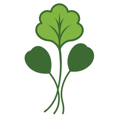 Watercress Botanical Vector.