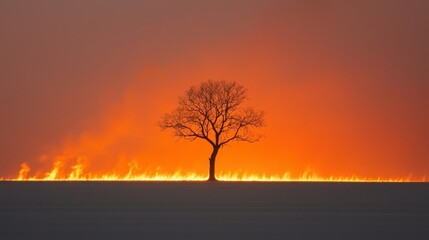 Naklejka premium Fiery Sunset Landscape Lone Tree Burning Field Dramatic Sky