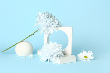 Decorative podiums with beautiful chrysanthemum flowers on blue background