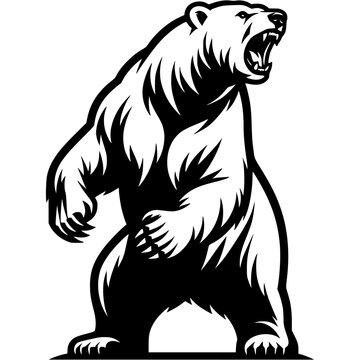 Polar bear stood on its hind legs in rage and threatened in monochrome. Simple minimalistic vector in black ink drawing on transparent background