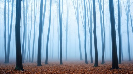 Obraz premium A serene, foggy forest scene with tall trees and a carpet of fallen leaves, creating a tranquil and mysterious atmosphere.