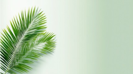 Fototapeta premium Emerald Palm Leaves in Blur: Vibrant Green Foliage Against a Grey Backdrop