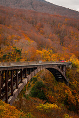 Hakoda mountain and Jogakura bridge view in Japan, famous travel destinations in autumn and fall season. Color of nature, season and leaf. An aerial view of maple tree, fantasy landscaped discovery.