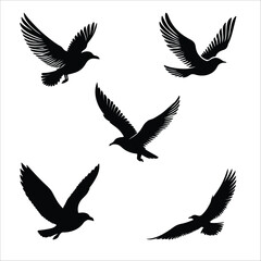 Vector Silhouette Of  Sea Gull