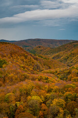 Hakoda mountain and Jogakura bridge view in Japan, famous travel destinations in autumn and fall season. Color of nature, season and leaf. An aerial view of maple tree, fantasy landscaped discovery.