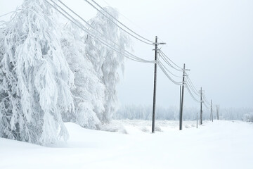 Snow covered trees and power lines in a winter landscape illustration - Powered by Adobe