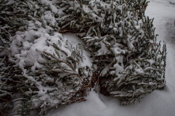 Snowing in New York City, NY, USA