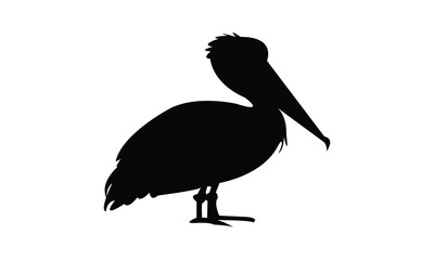 Pelican Bird Silhouette Design  And Vector Illustration. 
