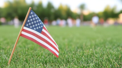 Small American Flag in Green Grass Patriotic Image Independence Day