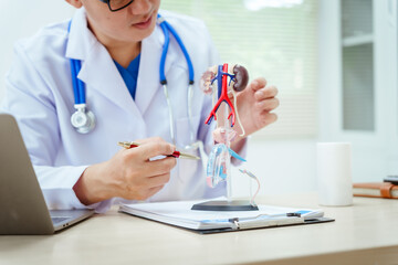 A male doctor sits at a desk in a hospital, discussing male urinary tract models and conditions like enlarged prostate, prostatitis, cystitis, urinary tract infections.Early diagnosis aids effective